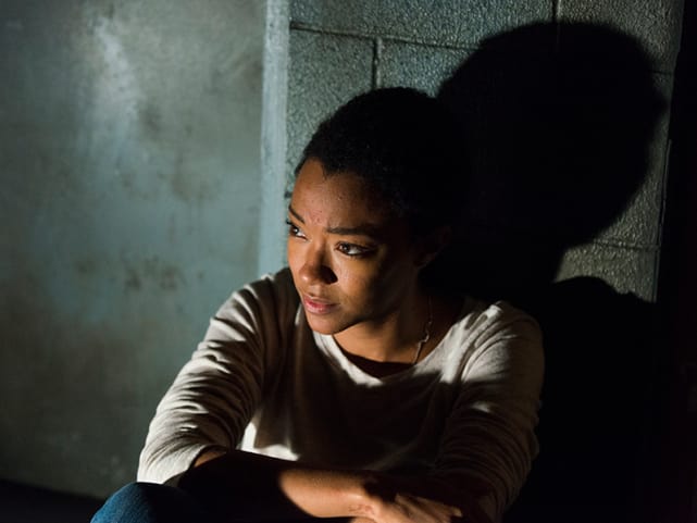 A visit to a distant community the walking dead