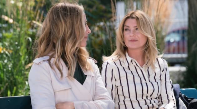 Station 19 Finale Adds Several Grey's Anatomy Characters: What's About to Go Down? - TV Fanatic