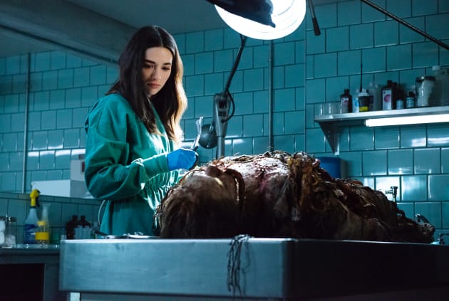 Investigating the Unexplained - Swamp Thing Season 1 Episode 1
