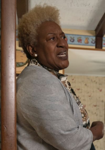 Judge Vinetta - The Good Fight Season 5 Episode 9