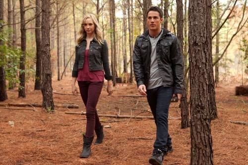 Stroll Through the Woods