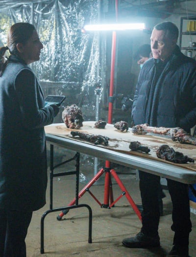 Chicago PD Season 7 Episode 18 Review Lines TV Fanatic