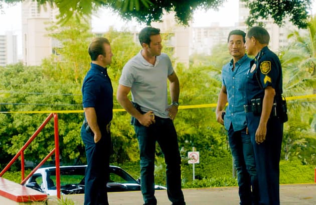 Danny s Brother Hawaii Five 0 TV Fanatic