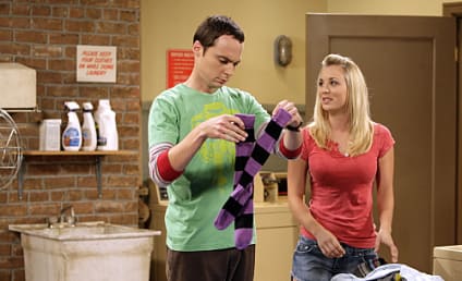 Relationship Scoop: Brothers & Sisters, The Big Bang Theory