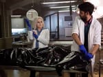 Digging In - iZombie