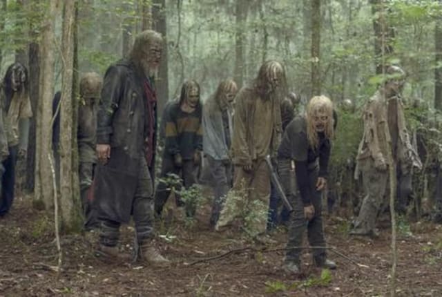 Vernederen Ik heb een Engelse les antenne Watch The Walking Dead Season 10 Episode 1 Online - TV Fanatic