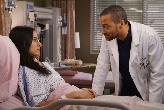 Grey s Anatomy Season 12 Episode 11 TV Fanatic