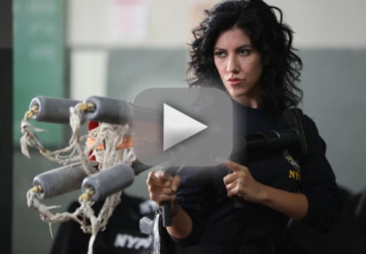 Brooklyn nine nine outlet tactical village watch online