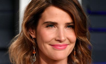 Cobie Smulders to Star in ABC Pilot Based on Stumptown Graphic Novel