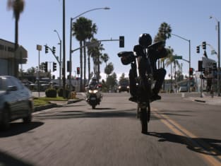 Watch Animal Kingdom Online Season 5 Episode 10 TV Fanatic