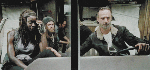 Rick and Michonne - The Walking Dead