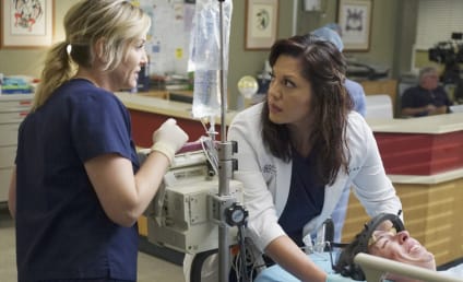 Grey's Anatomy Season 11 Episode 24 Review: You're My Home