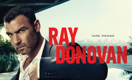 Ray Donovon Season 3: Promotional Art Revealed!