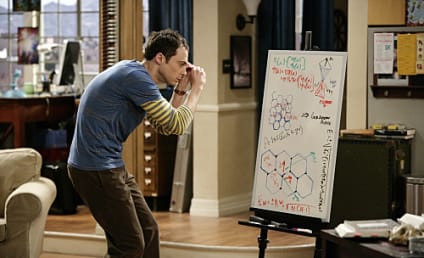 The Big Bang Theory Review: "The Einstein Approximation"