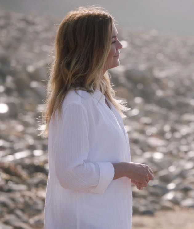 Grey's Anatomy Season 17 Episode 6 Review: No Time for Despair - TV Fanatic