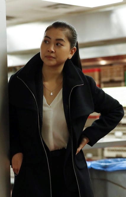 Searching for Contractor - The Blacklist Season 8 Episode 8