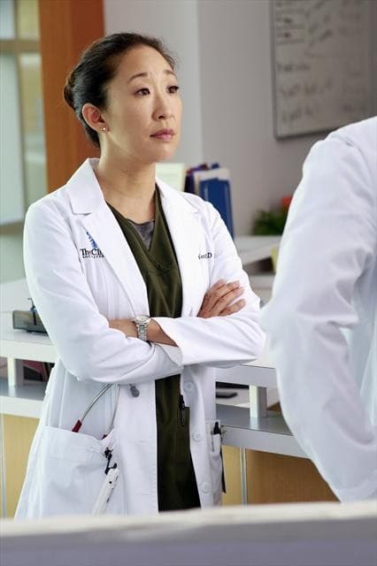 Doctor Cristina Yang Photo