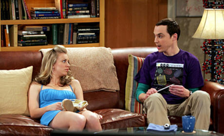 The Big Bang Theory Season 2 Episode 19: 