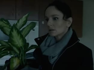 How to watch colony season 3 on sale