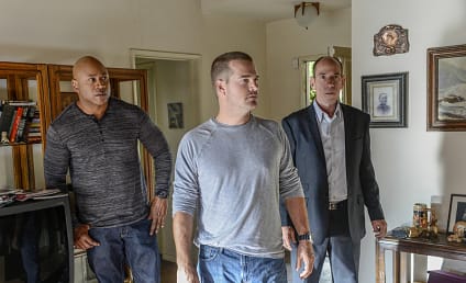 NCIS: Los Angeles Review: My Family