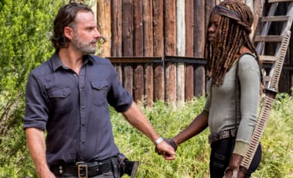 The Walking Dead: Rick and Michonne Spinoff Wraps Filming
