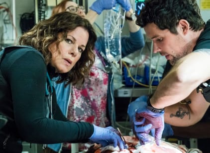 code black season 3 episodes