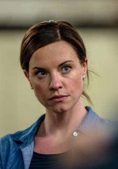 Law and order svu m4ufree store