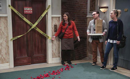 The Big Bang Theory Season 10 Episode 8 Review: The Brain Bowl Incubation