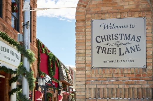 Christmas Tree Lane Celebration