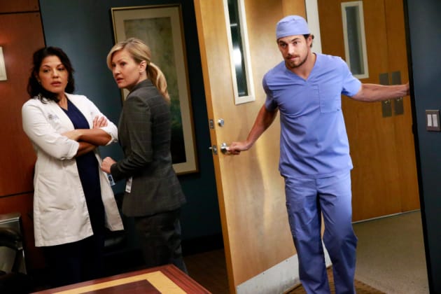 In Conference Grey s Anatomy Season 12 Episode 1 TV Fanatic