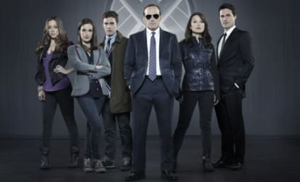 ABC Picks Up Agents of SHIELD for Full Season