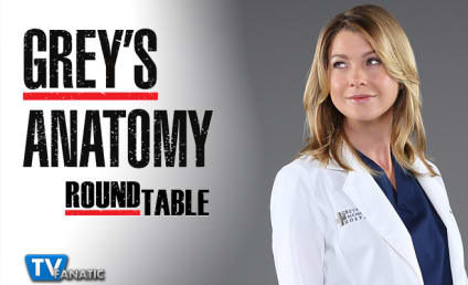 Grey's Anatomy Round Table: Justice for Amelink!