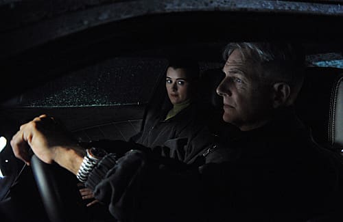 Gibbs at the Wheel