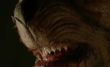 How Winnie the Pooh: Blood and Honey Went From Flop to Hit (And What Hollywood Learned From It)