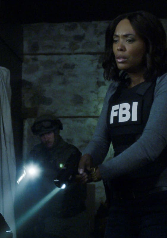 Criminal minds season 14 episode 11 online hot sale
