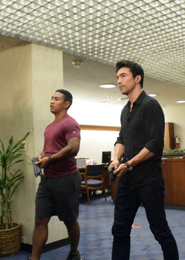 Hawaii Five-0 Season 5 Episode 4 Review: The Painter - TV