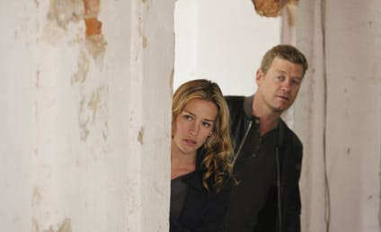 Covert Affairs Canceled by USA after Five Seasons