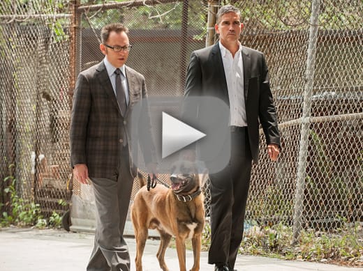 Watch person best sale of interest putlocker