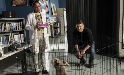 NCIS Season 18 Episode 10 Review: Watchdog