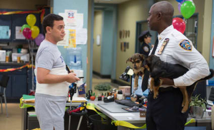Brooklyn Nine-Nine Review: Jake and the Bandit