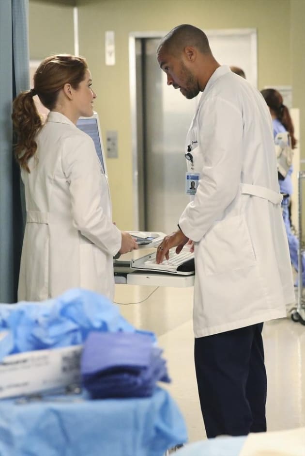 The Intriguing Journey Of Season 11 Of Grey's Anatomy