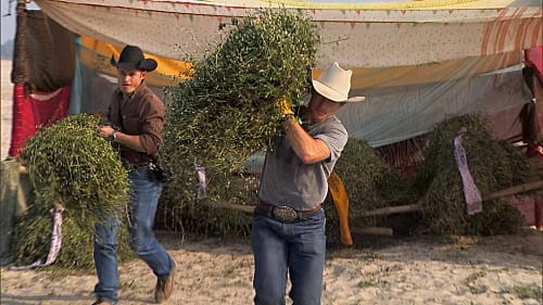 Jet and Cord Haul Grass Bails