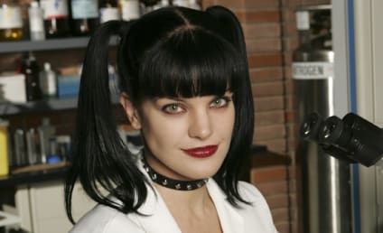 NCIS Re-Signs Michael Weatherly, Sean Murray and Pauley Perrette For Seasons 10-11
