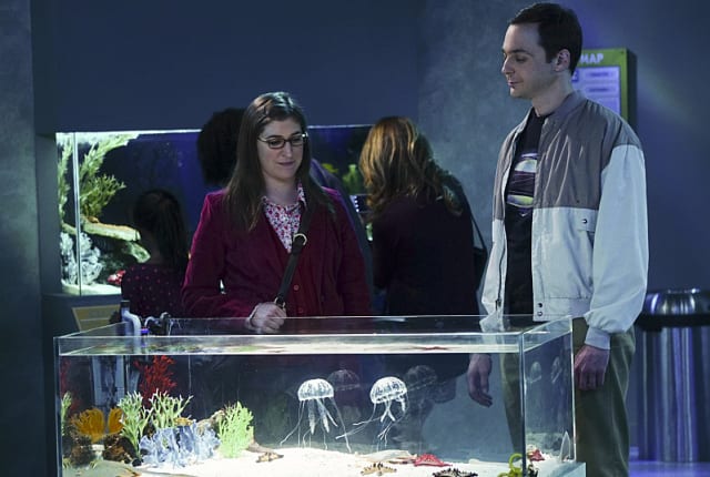 Watch The Big Bang Theory Season 9 Episode 9 Online Tv Fanatic