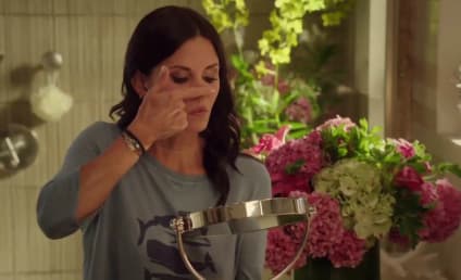 Cougar Town Season 3 Footage: A Very Extended Preview
