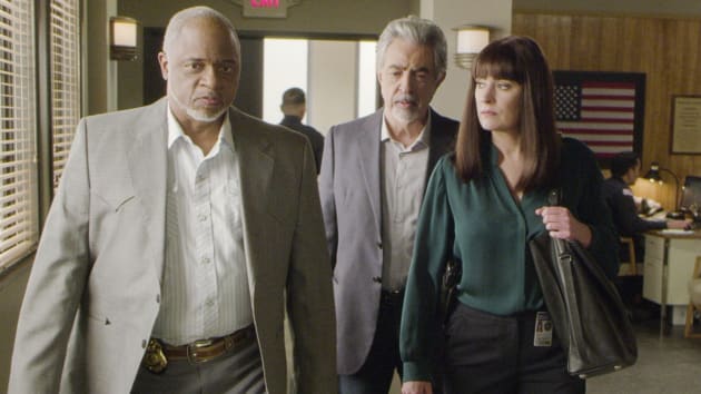 Criminal Minds Season 15 Episode 8 Review: Family Tree ...