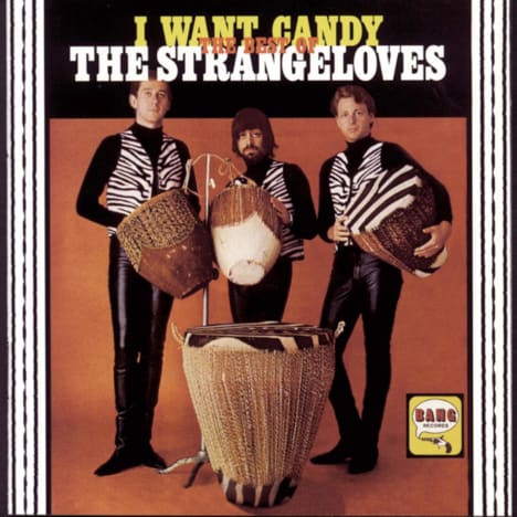 Bob Feldman's band, The Strangeloves