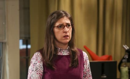 The Big Bang Theory Season 10 Episode 16 Review: The Allowance Evaporation