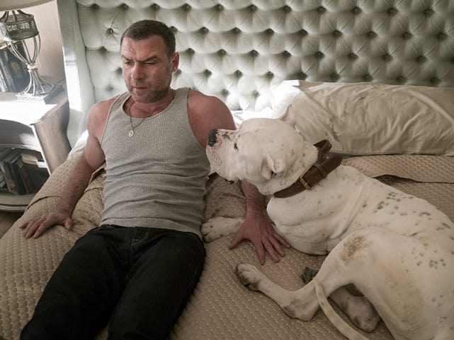 Abbys men ray donovan