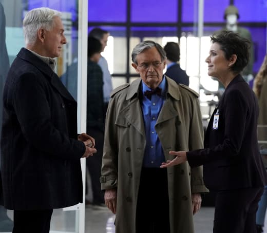 NCIS Season 17 Episode 16 Review: Ephemera - TV Fanatic